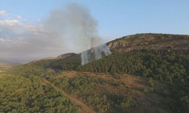 Пожар край Стара Загора затрудни движението, запалил се е горски масив
