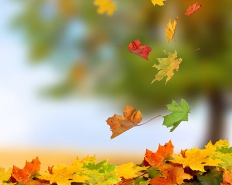 Астрономическата есен започва днес! Посрещаме я със слънце