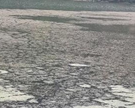 Жителите на Панчарево: 20 тръби с отходни води превръщат езерото в помийна яма