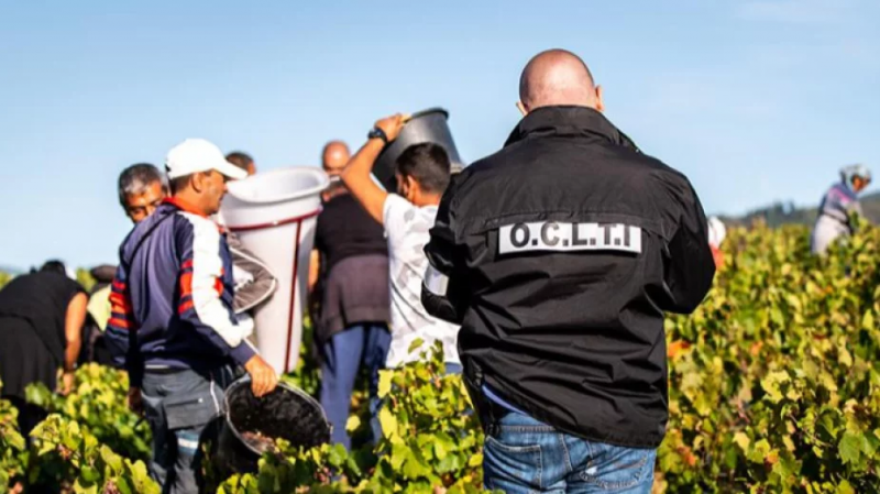 Френски капан за 167 наши гурбетчии: Робски труд вместо 1700 евро заплата