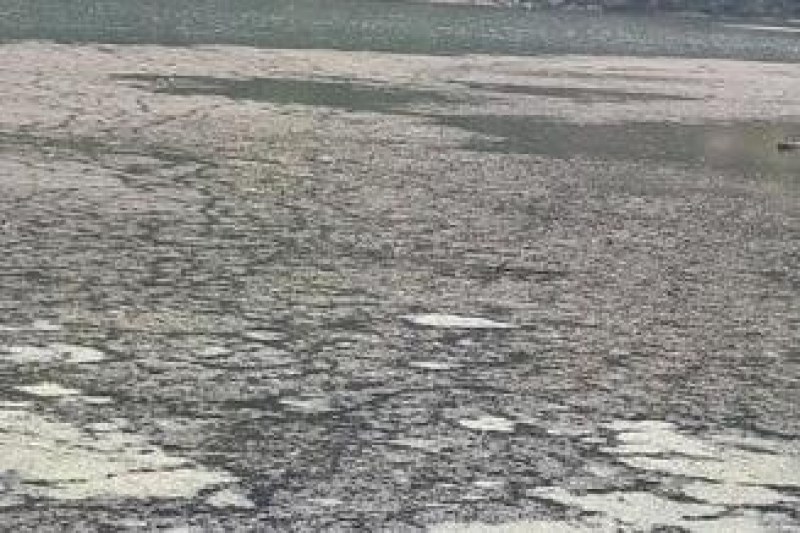 Жителите на Панчарево: 20 тръби с отходни води превръщат езерото в помийна яма