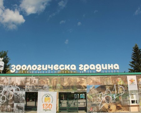 Вход свободен в Столичния зоопарк, викторина с награди на 