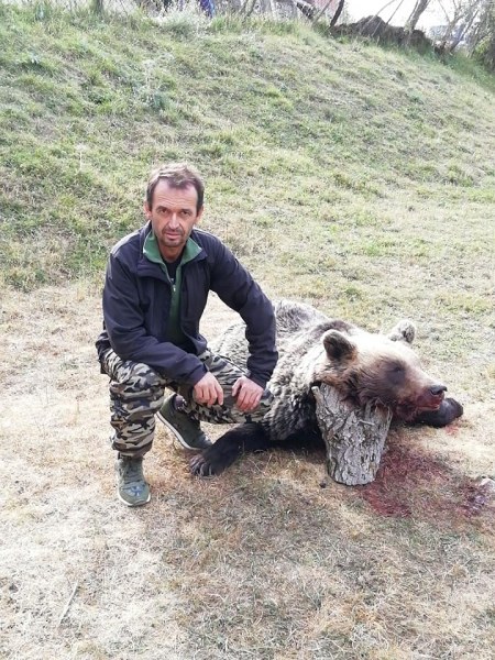 Снимка на убита мечка в смолянско предизвика вълна от възмущение