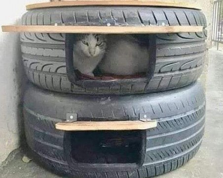 Добро дело! Жена превръща стари гуми в къщички за бездомни животни