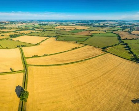 Бум в търсенето на ниви, цените се вдигат