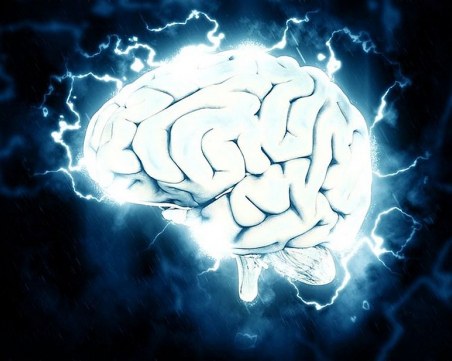 Прекомерните физически упражнения изморяват и мозъка