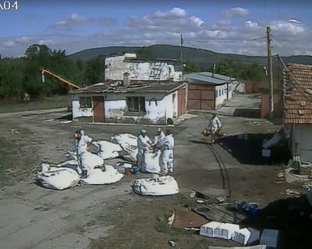 Жестокост! Служител на БАБХ скача върху живи кокошки, уволниха го