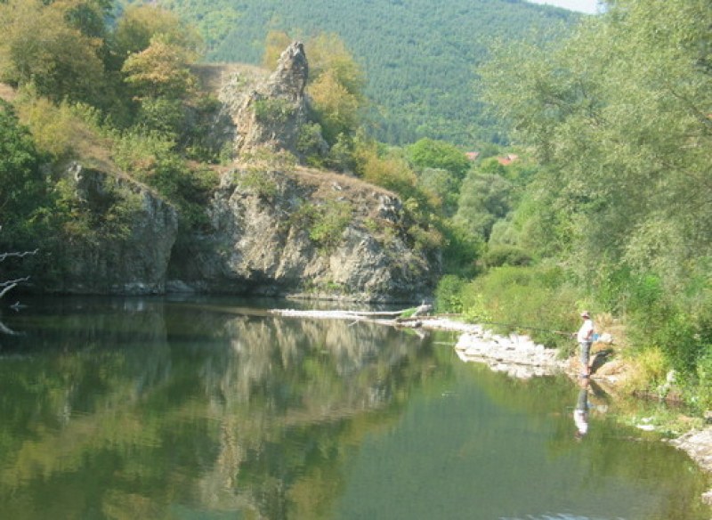 Проверяват река Струма за умряла риба и замърсяване на водите