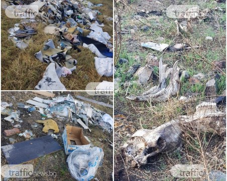 Полицията тръгва по стъпките на фирмите, превърнали поляна в Пловдив в сметище