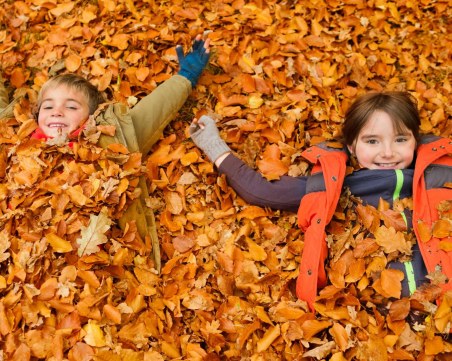 Къде да заведем децата в неделя в столицата?