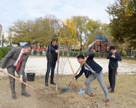 Кандидатът за кмет на Пловдив Николай Бухалов с идея за модерна зелена система