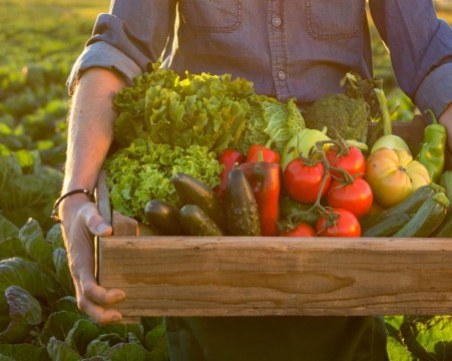 Кои са зеленчуците, които не трябва да се слагат в едно и също ястие?