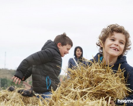 Празник на сламата предлага вкусна храна, състезания по бягане и добро настроение