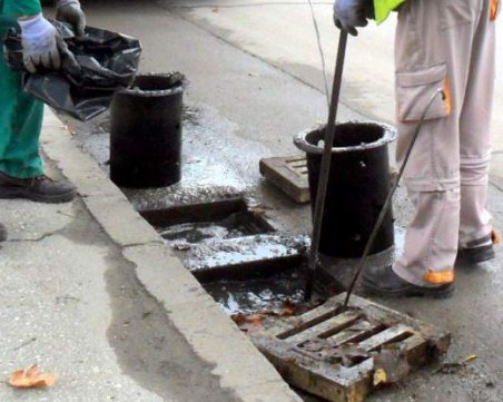 Обработват срещу гризачи 16 000 шахти в Пловдив