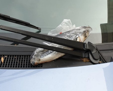 Паркираш неправилно, получаваш риба на предното стъкло