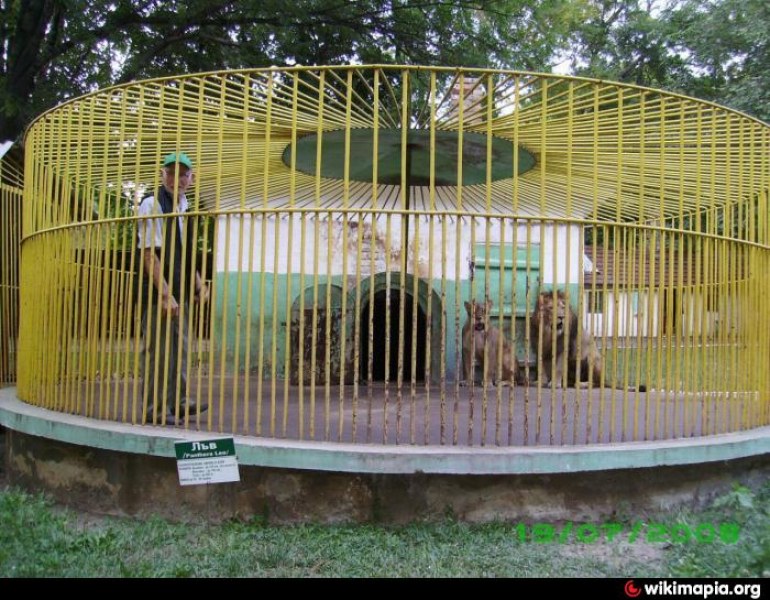 Експерт: Всички животни от зоопарка в Разград трябва да бъдат изведени