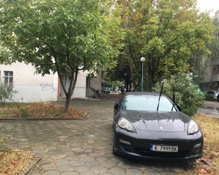 Кърджалийска пантера с черна панамера спря като бей в Пловдив