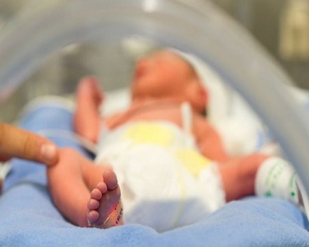 Кампанията 