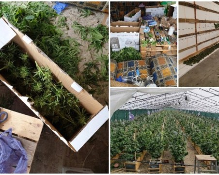 22-годишна студентка върти оранжерии за марихуана