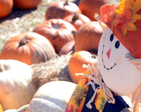 Американски град струпа 4000 плашила за рекорд на Гинес