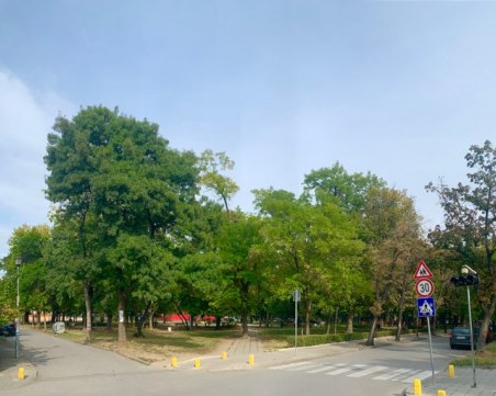 Кой не иска да живее в по-зелен район? Може ли 