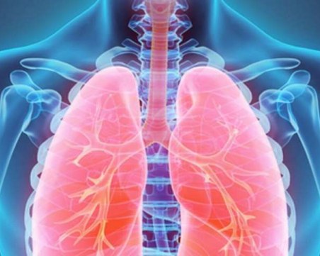 Безплатни прегледи на белите дробове в София