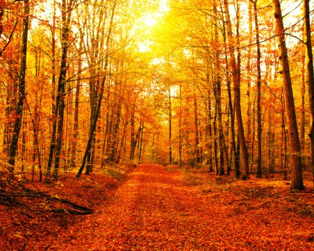 Седмицата тръгва с лятно време, градусите гонят 28