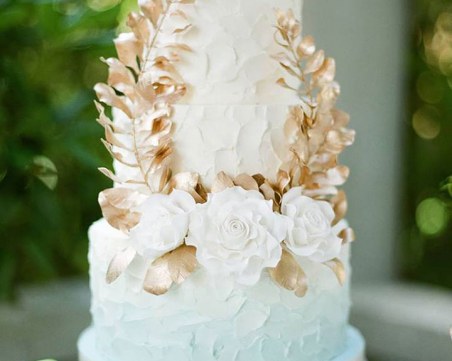 11 сватбари завършиха в болница с хранително натравяне в Сливенско