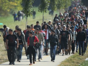 България взе 300 милиона евро от ЕС за шест миграционни центъра