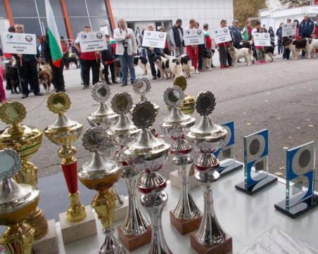 Най-красивите кучета пристигат в Пловдив този уикенд