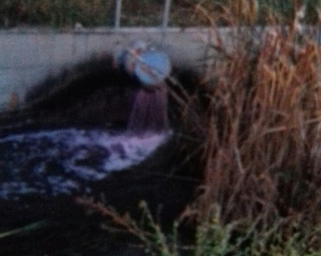 Река Потока потъмня