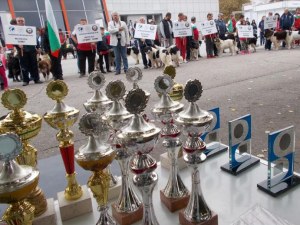 Най-красивите кучета пристигат в Пловдив този уикенд