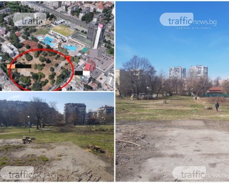 Върнаха на работа уволнена от Ральо Ралев еколожка, отстранена заради сечта в парка в 