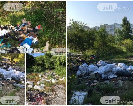 Столичани от