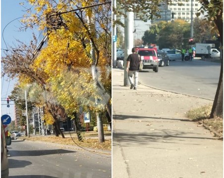 Патрулки и пожарни блокираха пловдивски булевард, спряха движението заради паднали жици
