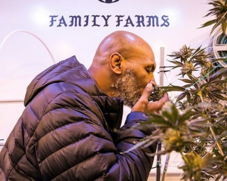 Майк Тайсън: Без канабиса щях да съм прасе