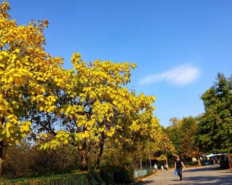 Слънчев ден за размисъл ни очаква днес