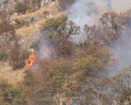 Пожар избухна заради пикник край  Бузлуджа