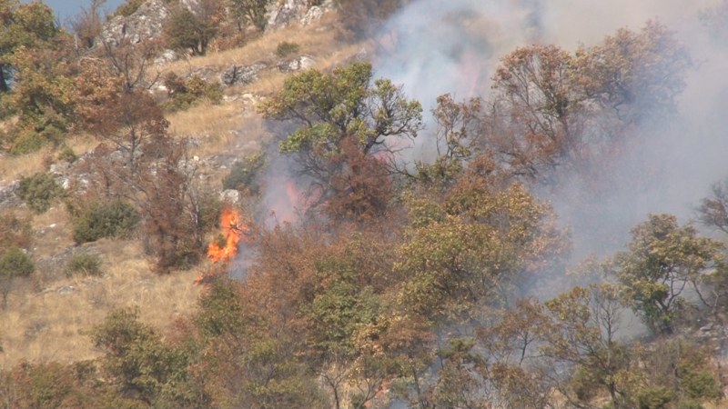 Пожар избухна заради пикник край  Бузлуджа