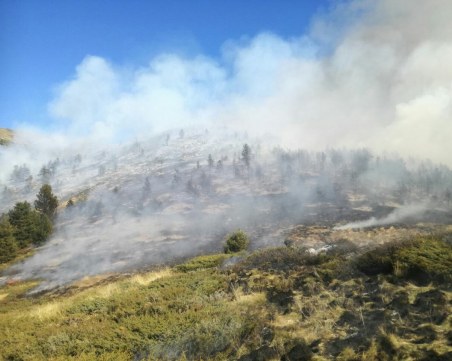 Пастири или бракониери са запалили големия пожар в Рила