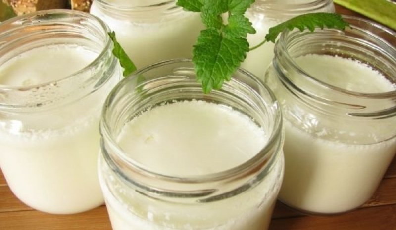 Киселото мляко предпазва от рак на белия дроб