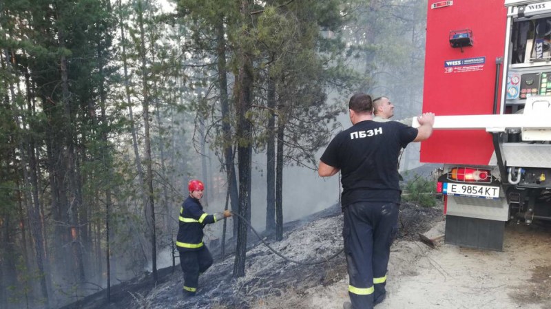 Още един пожар: Гори борова гора край Разлог