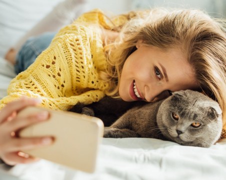 10 неща, които не трябва да държите вкъщи, ако имате котка