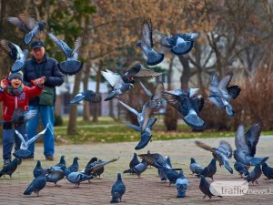 Къде да отидем в сряда в Пловдив?
