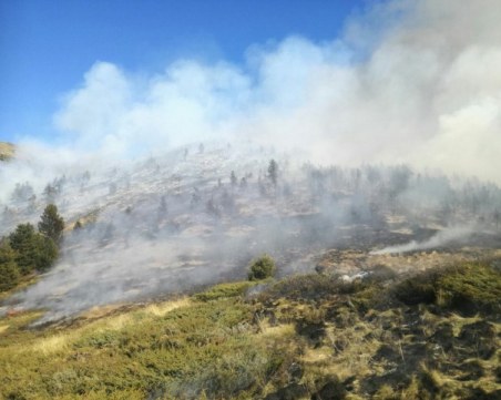 Пожарът в Стара планина е потушен, огнището е локализирано и в сръбската част