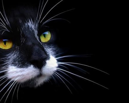 Скритите послания: Четирите принципа на късмета