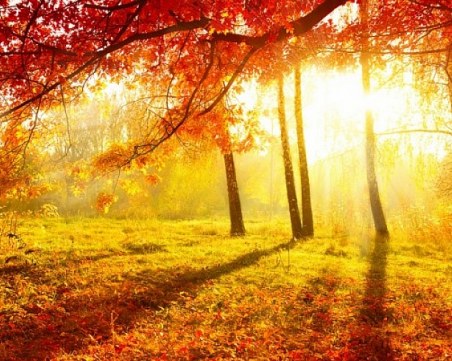 Ноември тръгва с циганско лято и завършва със сняг