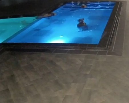 Mече си направи  СПА процедури край Сопот, гмурна се в басейна до лифта