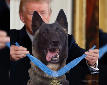 Американският герой Конан, който подгони терорист №1, е събрат на нашия Вихър