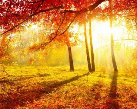 Слънцето пробива днес, от утре и топлото се връща